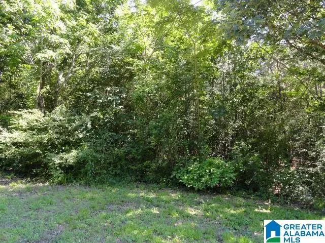 3291 HILLCREST PLACE, Adamsville, AL 35005 - #2