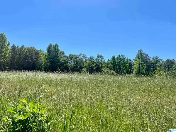 0 COUNTY ROAD 7, Wedowee, AL 36278