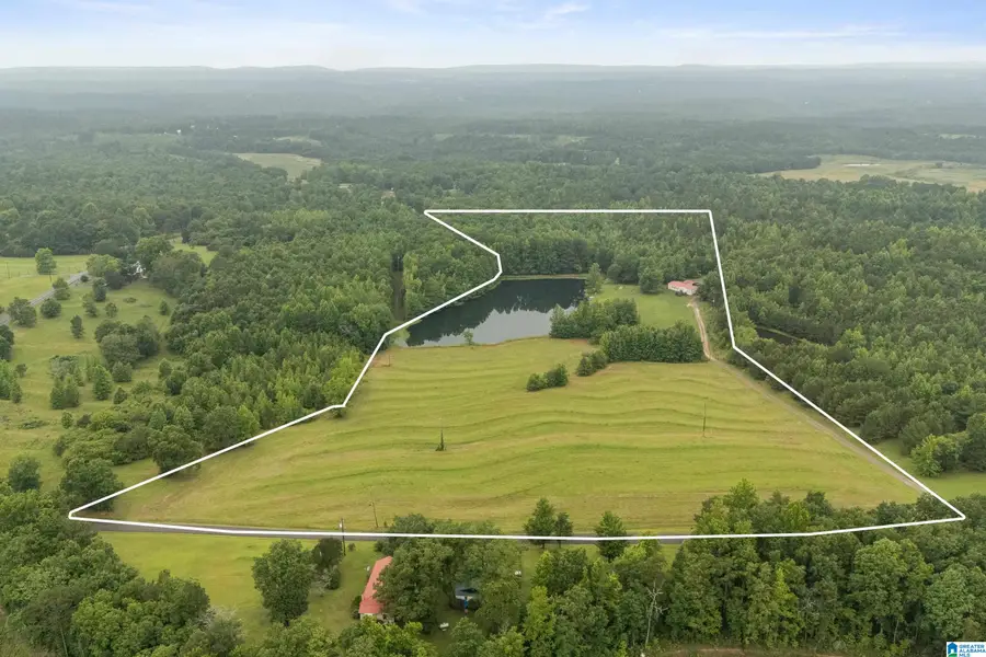 1484 JONES CHAPEL LOOP, Springville, AL 35146 - #2