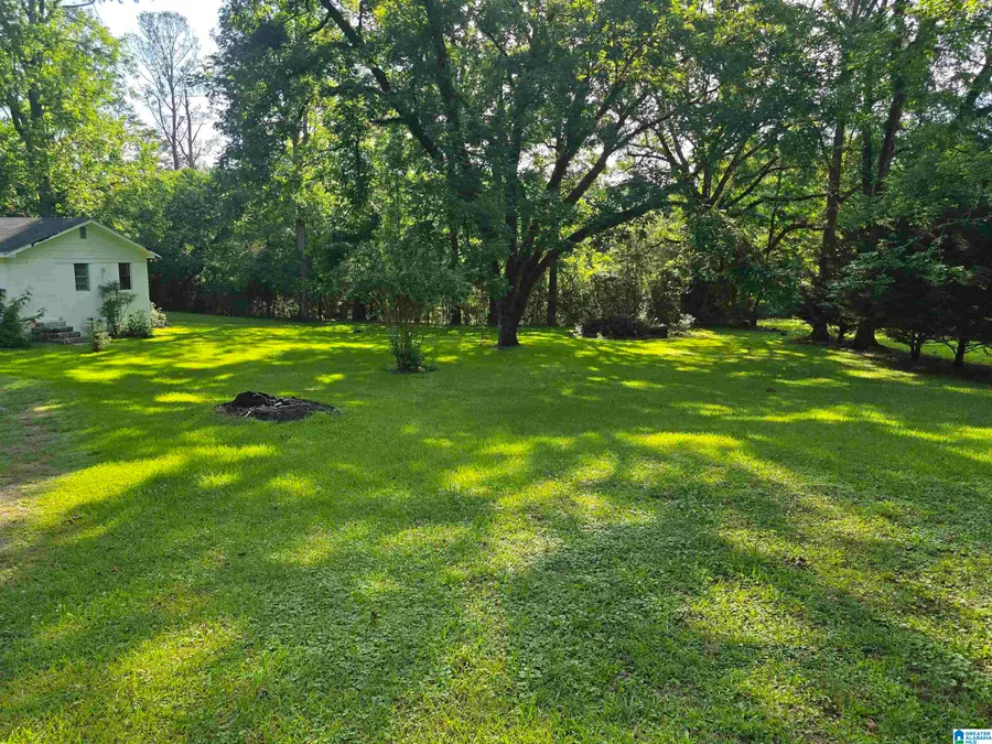 8880 HIGHWAY 231, Rockford, AL 35136 - #3