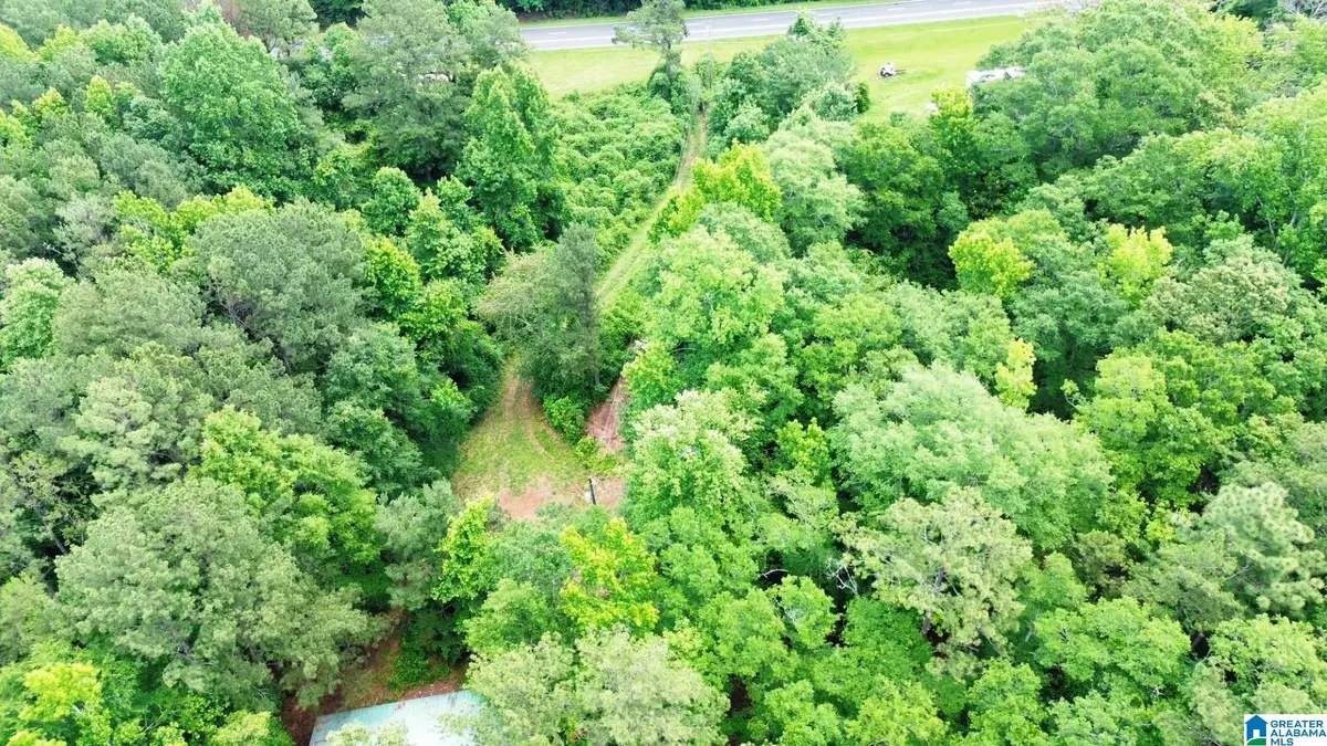 4021 COUNTY ROAD 511, Goodwater, AL 35072 - #1