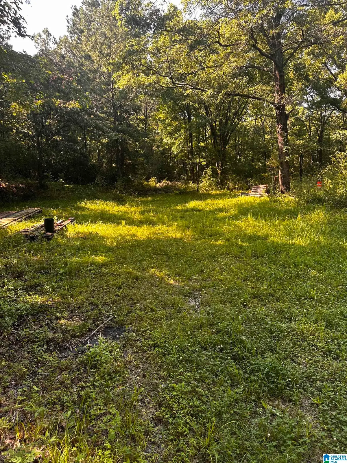 300 HUB LEE ROAD, Columbiana, AL 35051 - #1
