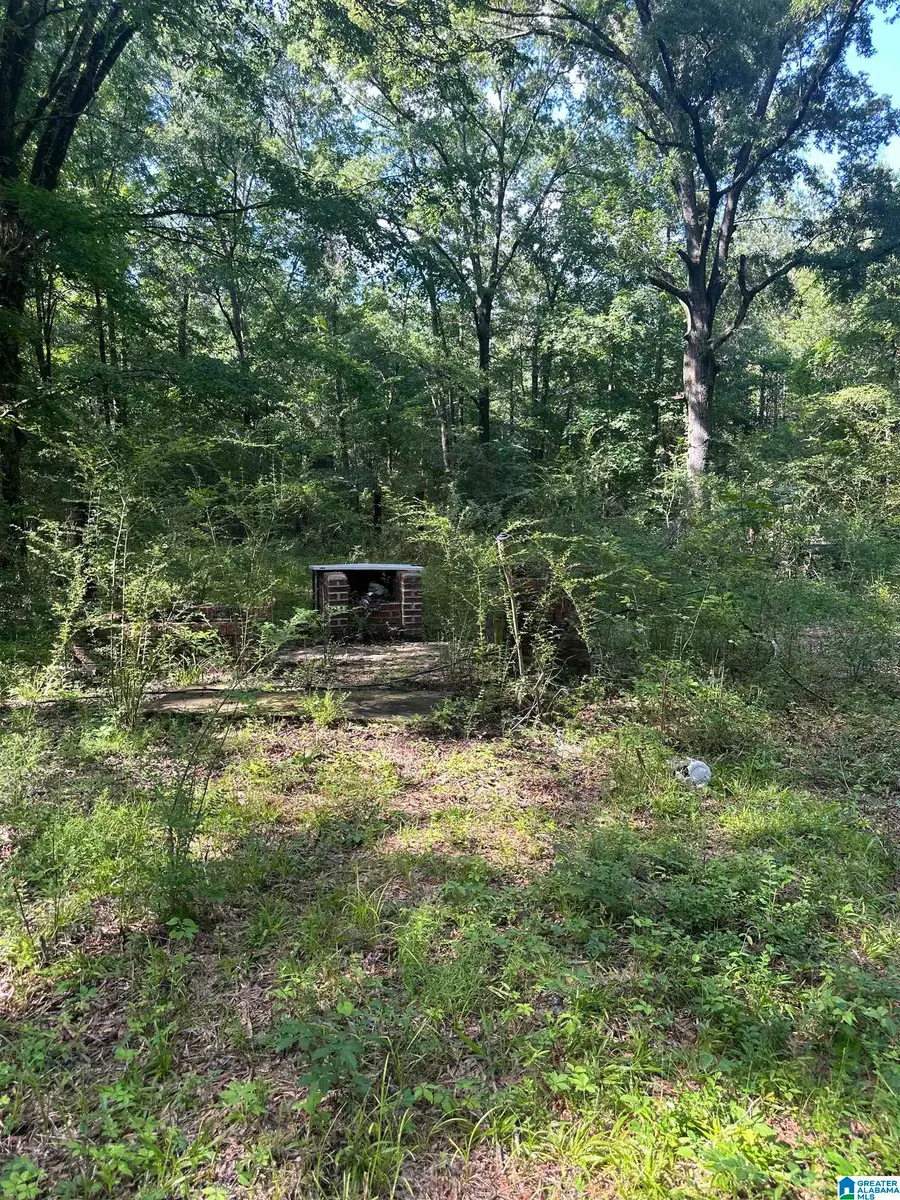 300 HUB LEE ROAD, Columbiana, AL 35051 - #2