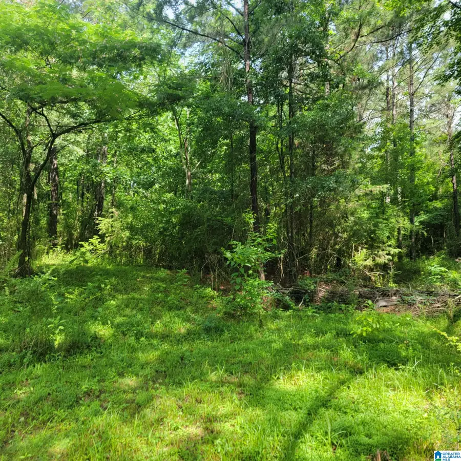 300 HUB LEE ROAD, Columbiana, AL 35051 - #3