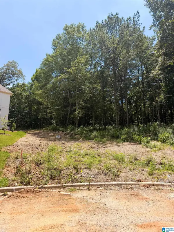 248 MOUNTAIN LAKE TRAIL, Alabaster, AL 35007