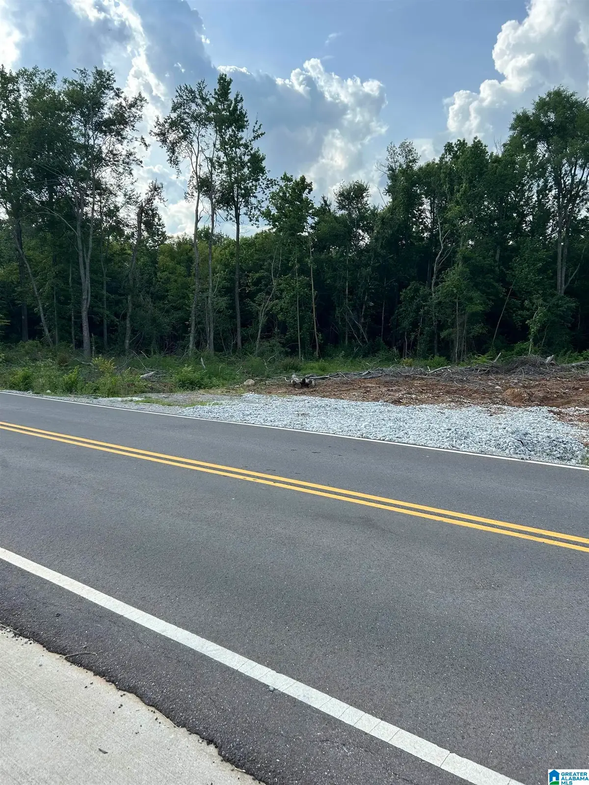 1685 OPP REYNOLDS ROAD, Toney, AL 35773 - #1