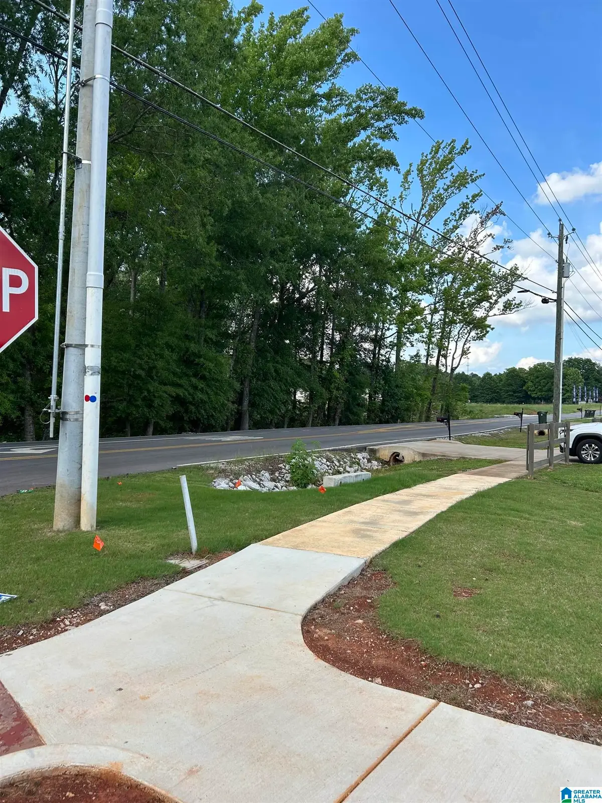 1695 OPP REYNOLDS ROAD, Toney, AL 35773 - #1