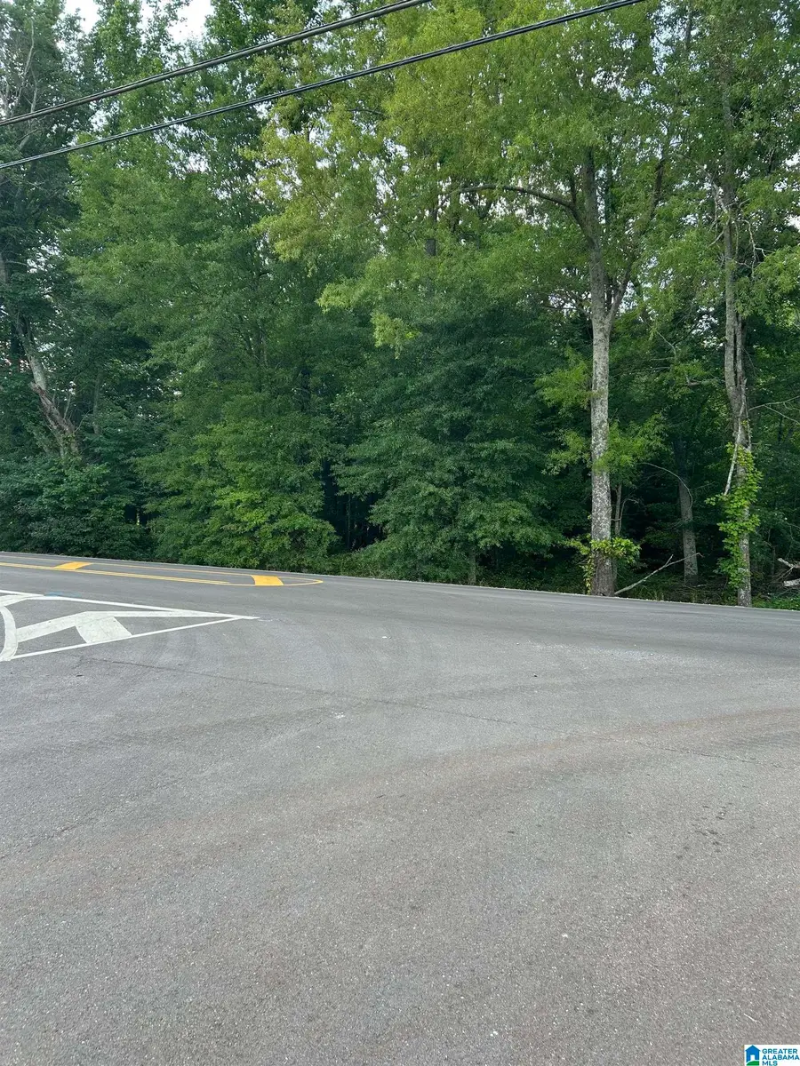 1695 OPP REYNOLDS ROAD, Toney, AL 35773 - #2