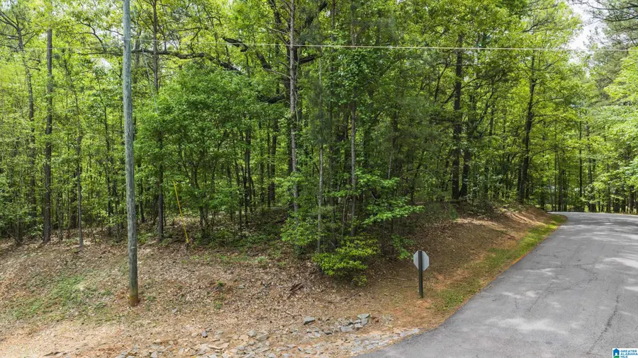 Lot 15 FERN BROOK DRIVE, Dadeville, AL 36853 - #2