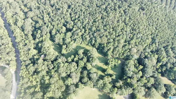 0 COUNTY ROAD 26, Columbiana, AL 35051