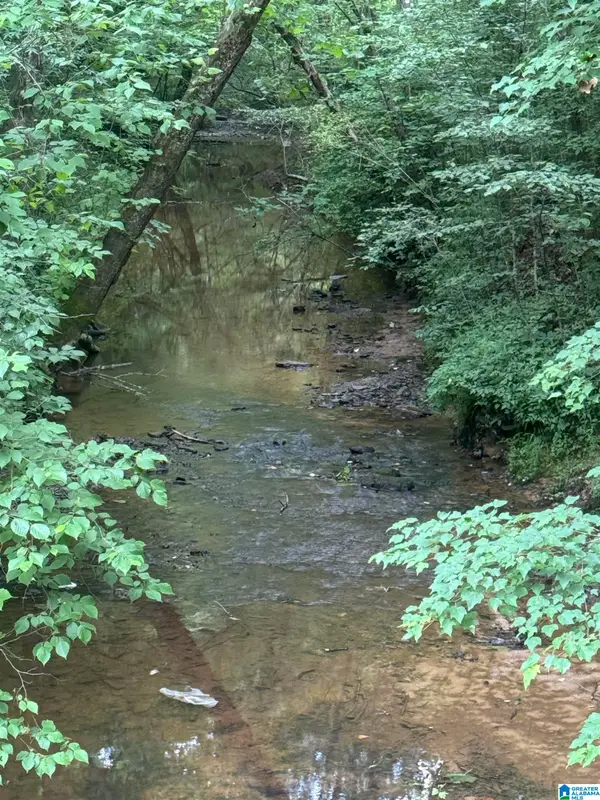17 ACRES HIGHWAY 144, Ragland, AL 35131
