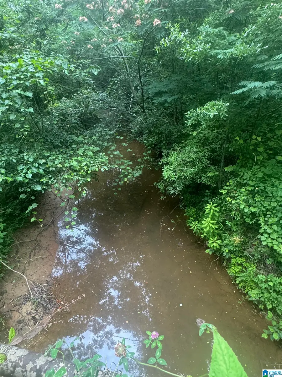 17 ACRES HIGHWAY 144, Ragland, AL 35131 - #3