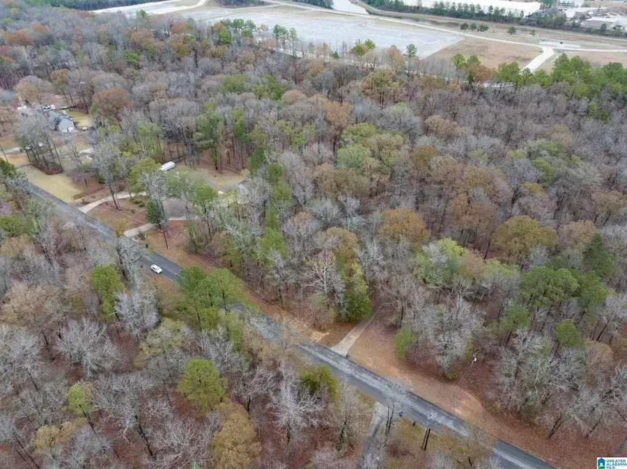 145 CHESTNUT DRIVE, Alabaster, AL 35007 - #3