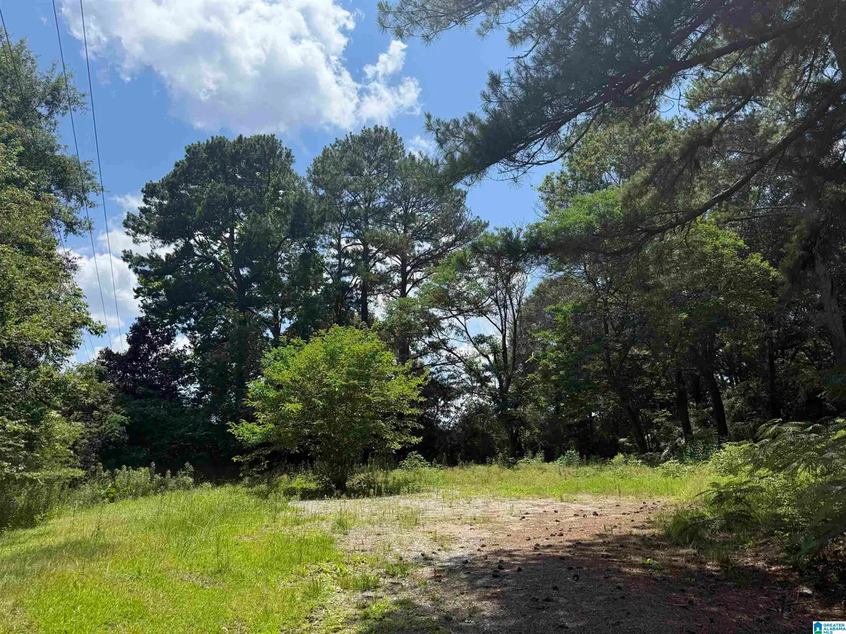 141 HIGHWAY 231, Vincent, AL 35178 - #1