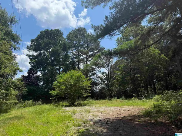 141 HIGHWAY 231, Vincent, AL 35178