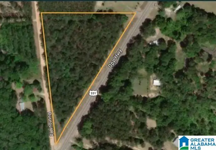 0 OPP HIGHWAY, Dozier, AL 36028 - #1