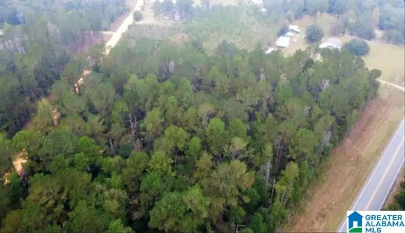 0 OPP HIGHWAY, Dozier, AL 36028 - #2