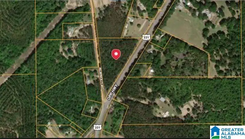 0 OPP HIGHWAY, Dozier, AL 36028 - #3