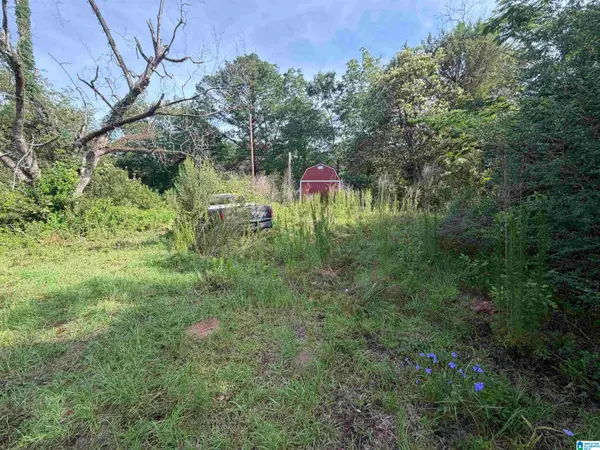 6355 GRANGE FORGE ROAD, Red level, AL 36474