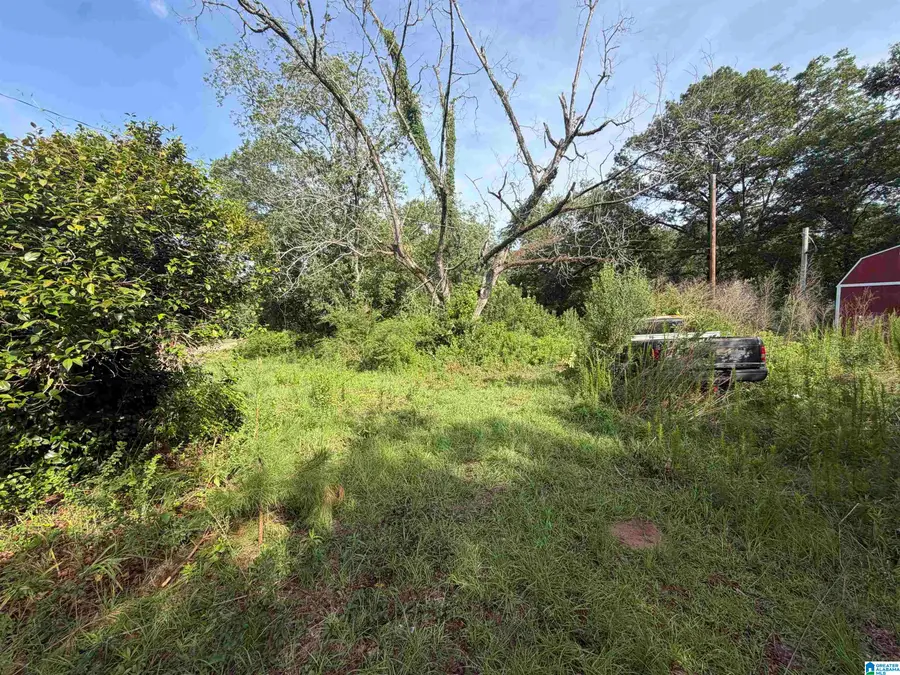 6355 GRANGE FORGE ROAD, Red Level, AL 36474 - #2