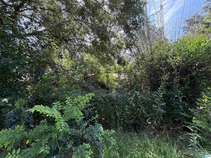 500 OPP AVENUE, Andalusia, AL 36420 - #2
