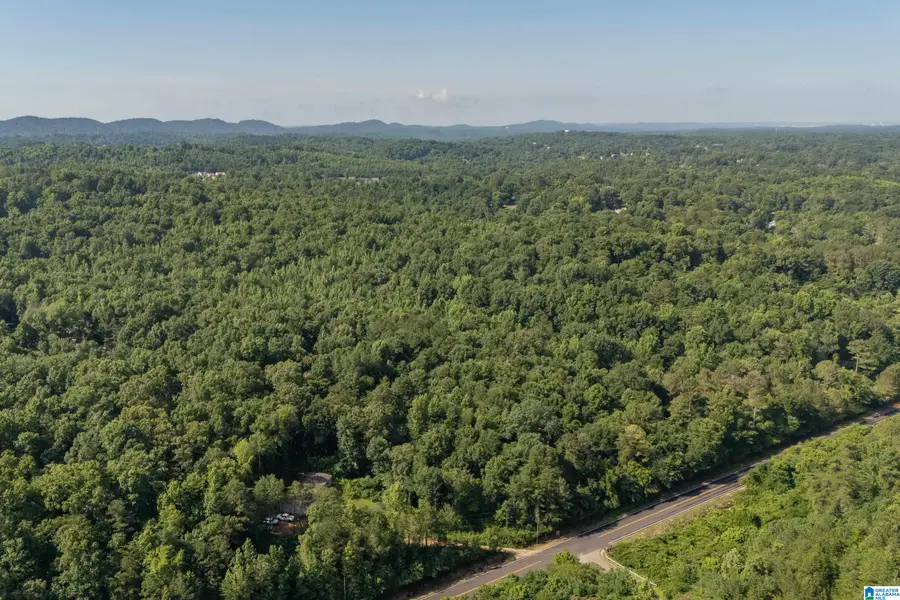 4861 GRIST MILL ROAD, Pinson, AL 35126 - #2