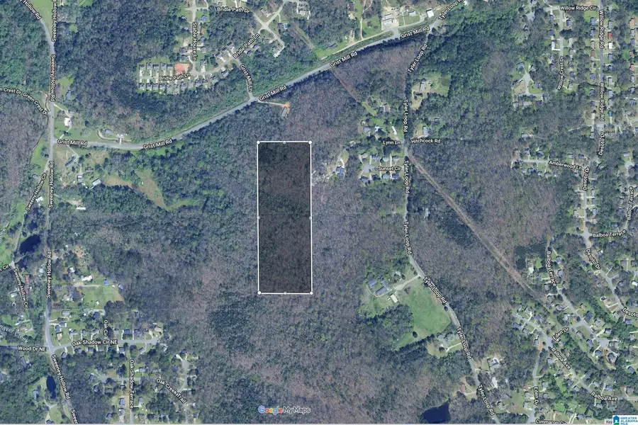 4861 GRIST MILL ROAD, Pinson, AL 35126 - #3
