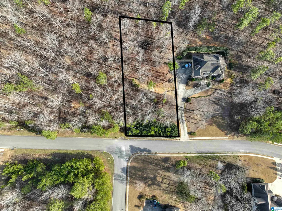 224 NORMANDY LANE, Chelsea, AL 35043 - #1