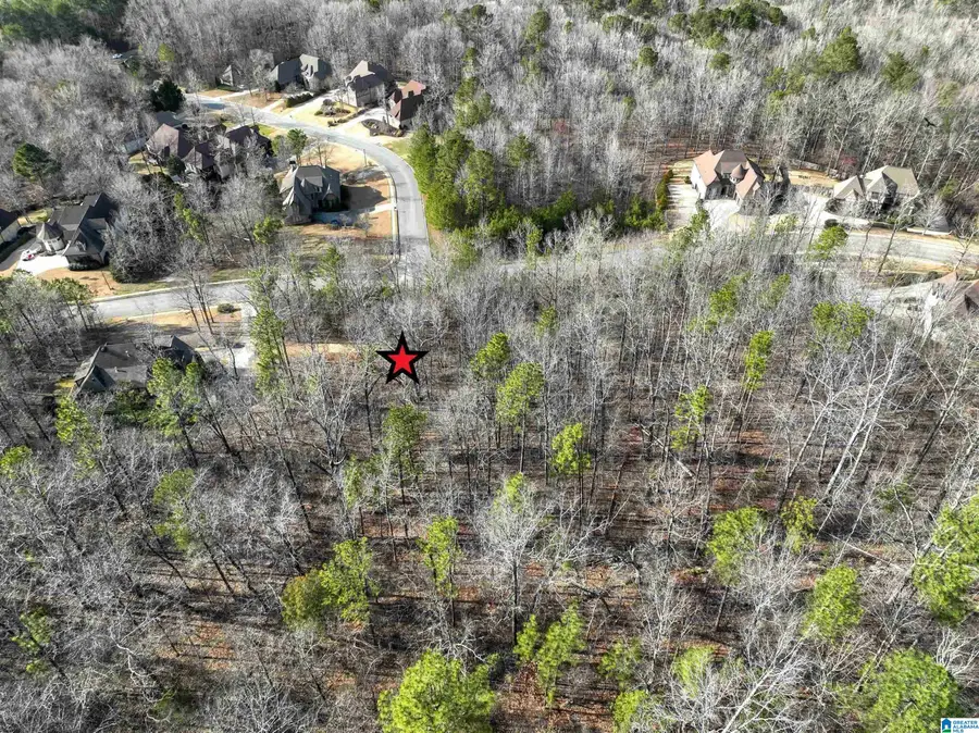 224 NORMANDY LANE, Chelsea, AL 35043 - #2