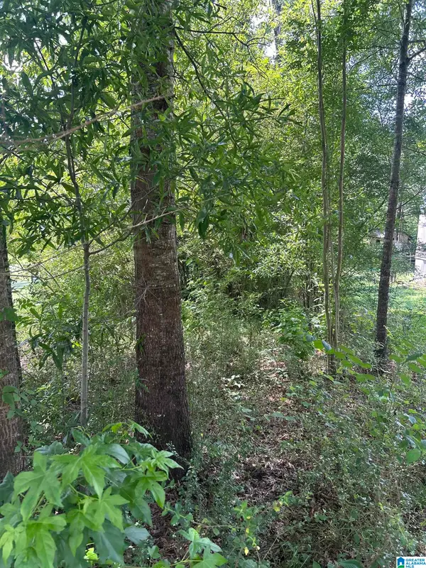 0 LIMBAUGH ROAD, Sylacauga, AL 35150