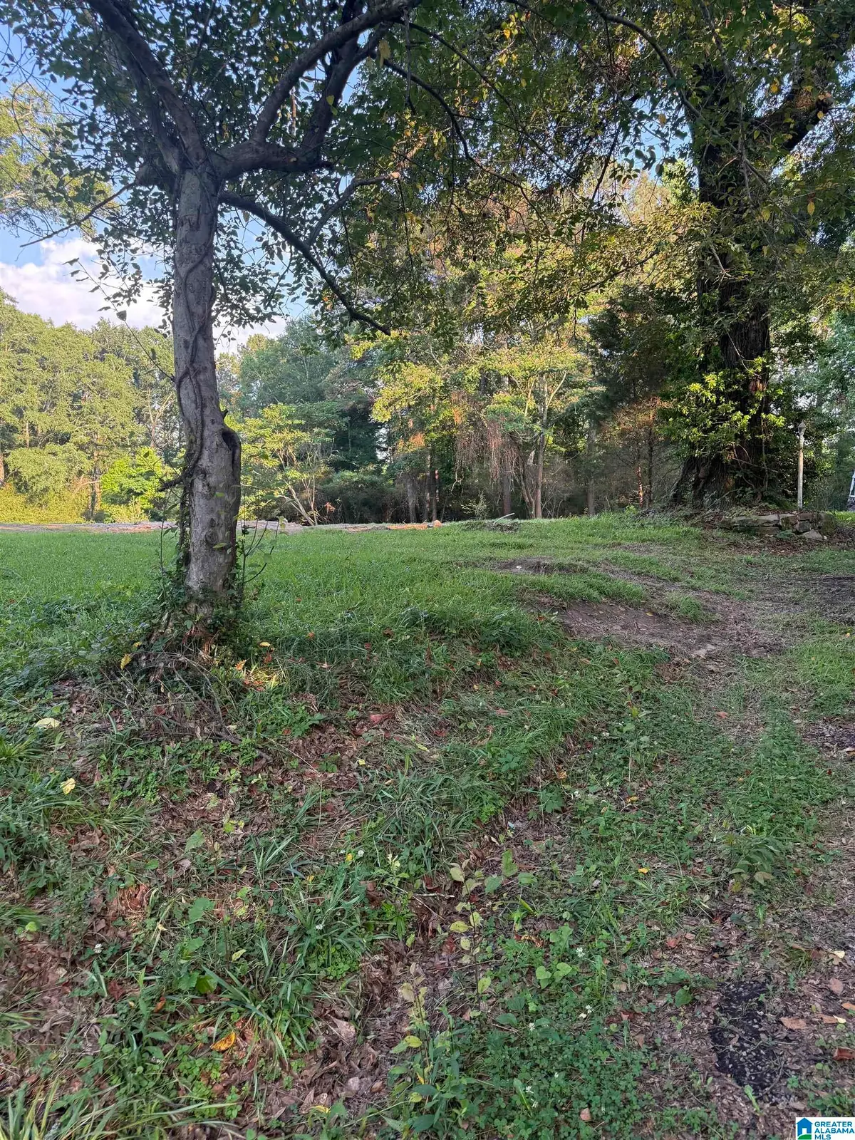 937 MORRIS MAJESTIC ROAD, Morris, AL 35116 - #1