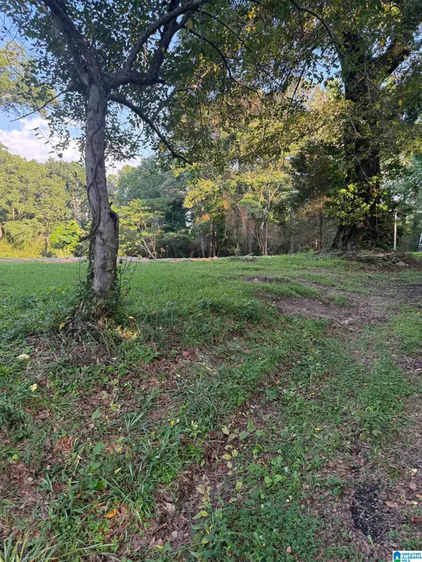 937 MORRIS MAJESTIC ROAD, Morris, AL 35116