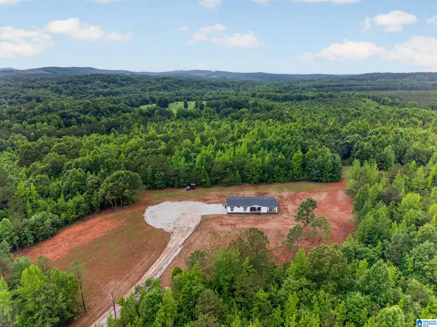 4162 COUNTY ROAD 75, Heflin, AL 36264 - #2