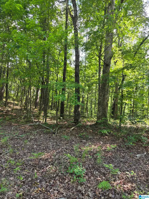 0 HIGHWAY 280, Sylacauga, AL 35150