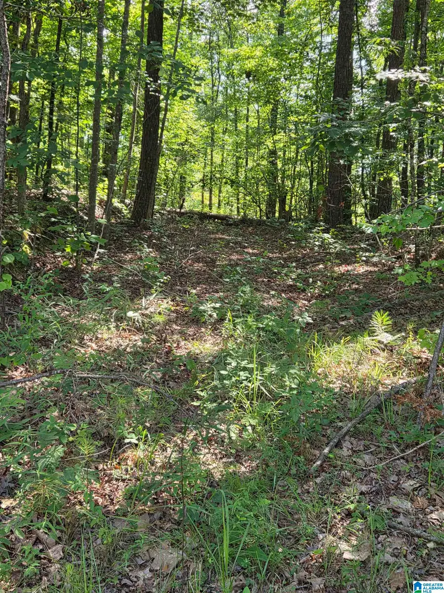 0 HIGHWAY 280, Sylacauga, AL 35150 - #2