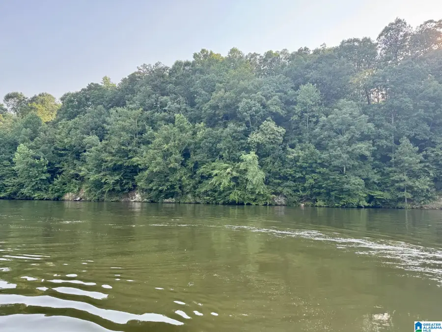 WRIGHT WAY DRIVE, Wedowee, AL 36278 - #2