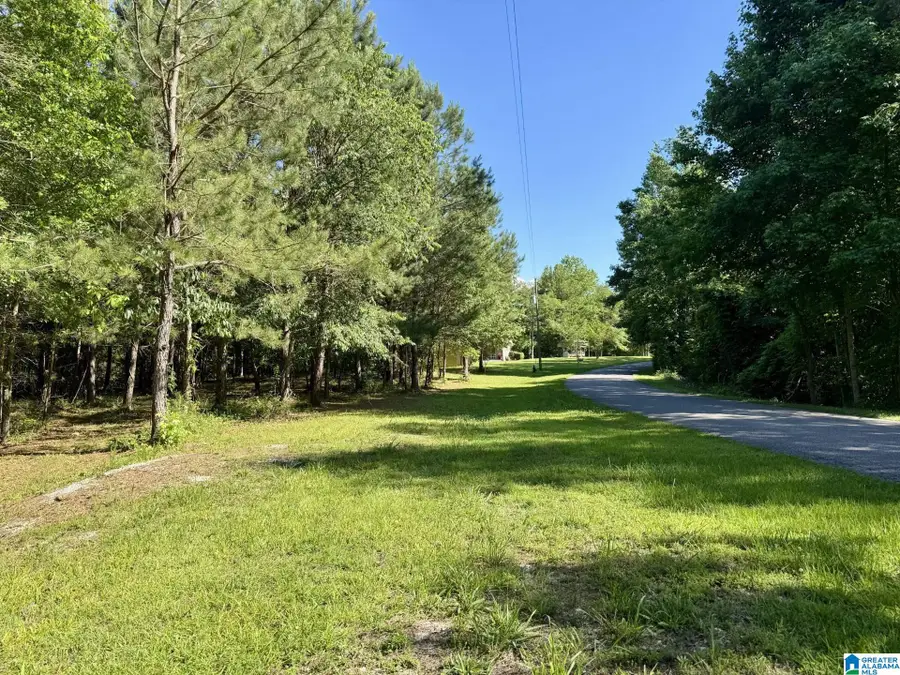 WRIGHT WAY DRIVE, Wedowee, AL 36278 - #3