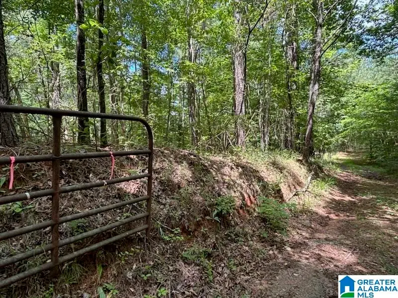 0 COOSA COUNTY ROAD 29, Rockford, AL 35136 - #1