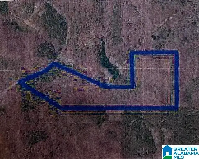 0 COOSA COUNTY ROAD 29, Rockford, AL 35136 - #2