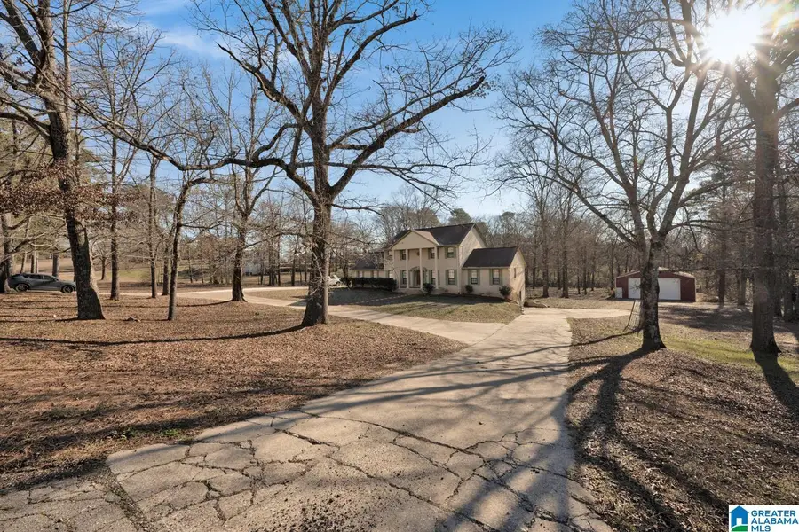 4634 WARRIOR JASPER ROAD, Dora, AL 35062 - #3