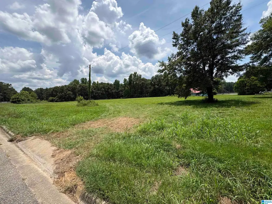 441 MARTIN LUTHER KING DRIVE, Clanton, AL 35045 - #2