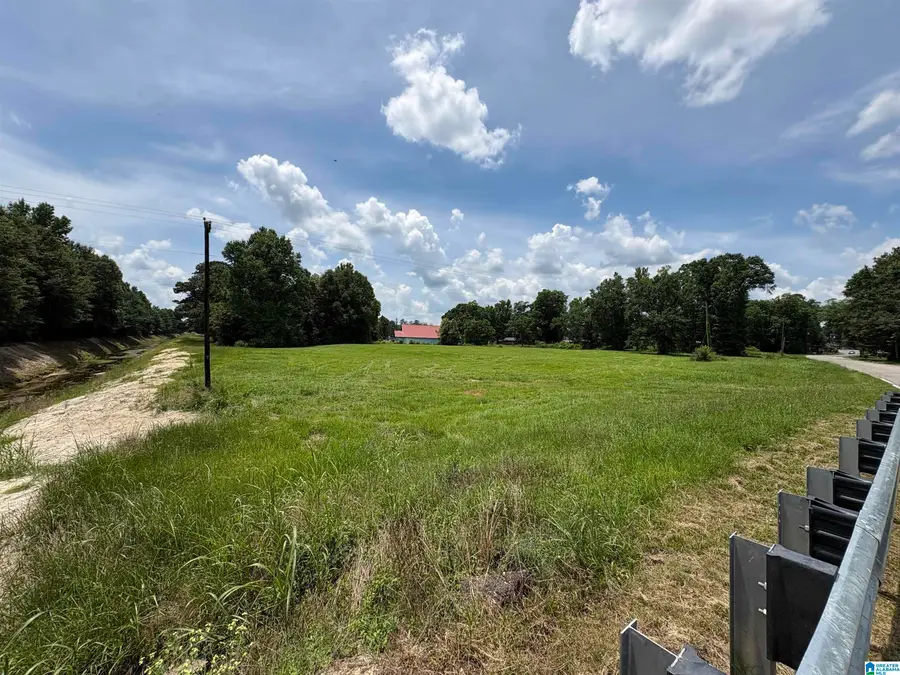 441 MARTIN LUTHER KING DRIVE, Clanton, AL 35045 - #3