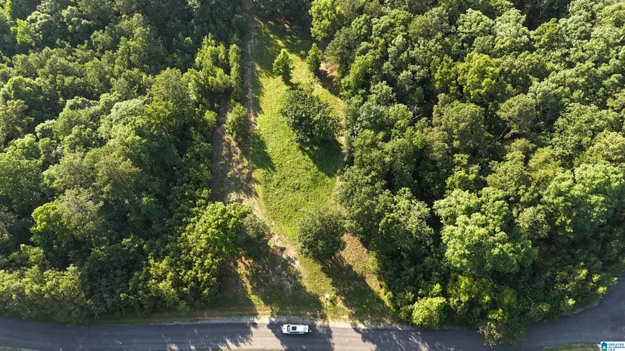 0 COUNTY ROAD 182, Crane Hill, AL 35053 - #3