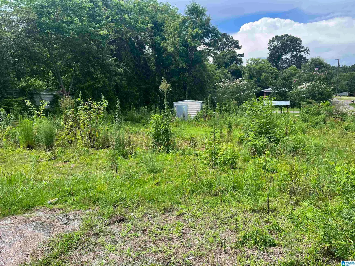 300 E VENTURA DRIVE, Birmingham, AL 35231 - #1