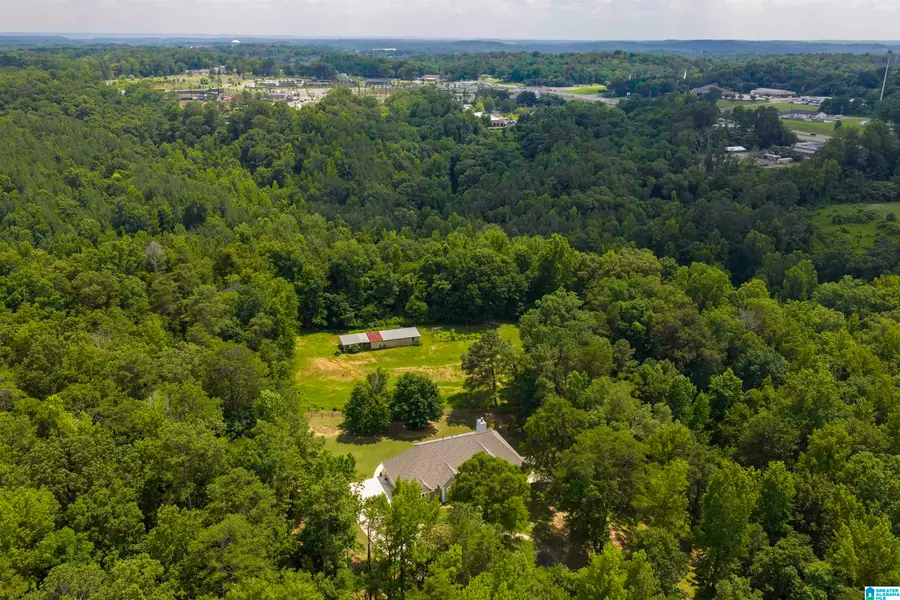 106 DANNON DRIVE, Gardendale, AL 35071 - #3