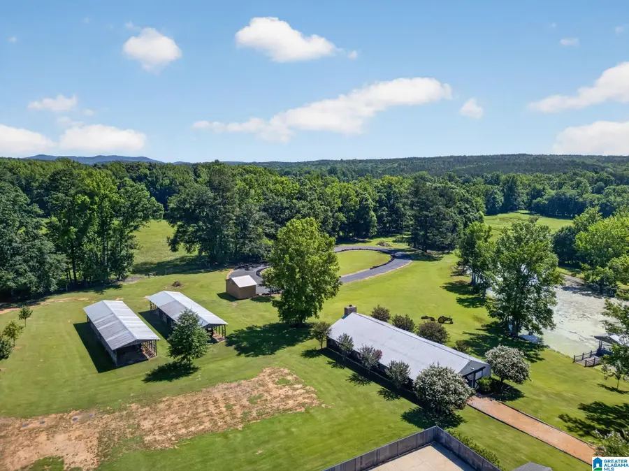 3463 COUNTY ROAD 3, Delta, AL 36258 - #2