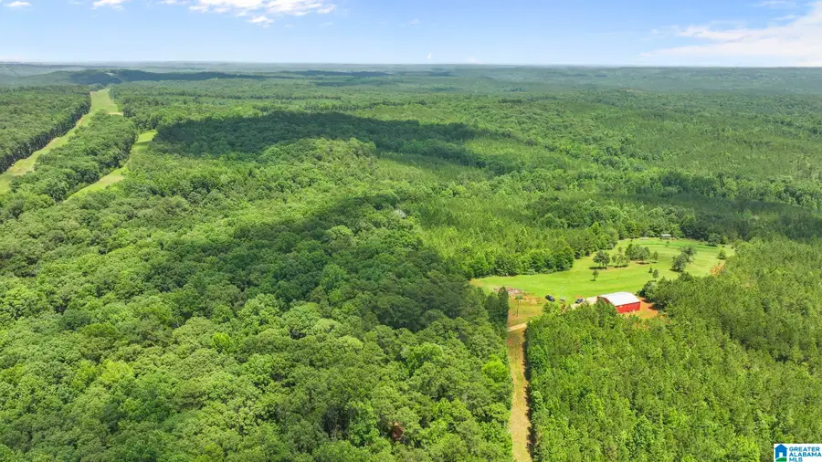 0 E HIGHWAY 22, Verbena, AL 36091 - #3