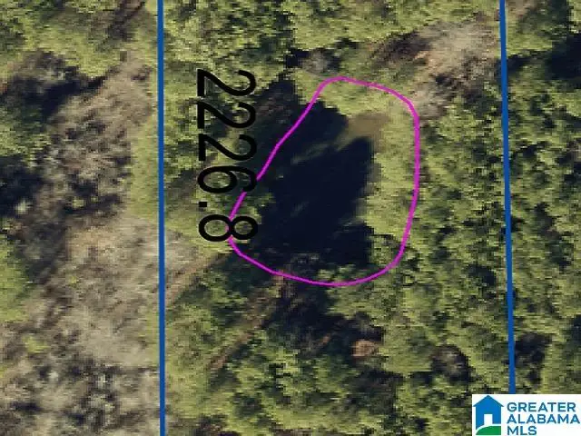 7745 SHOAL CREEK ROAD, Ashville, AL 35953 - #2