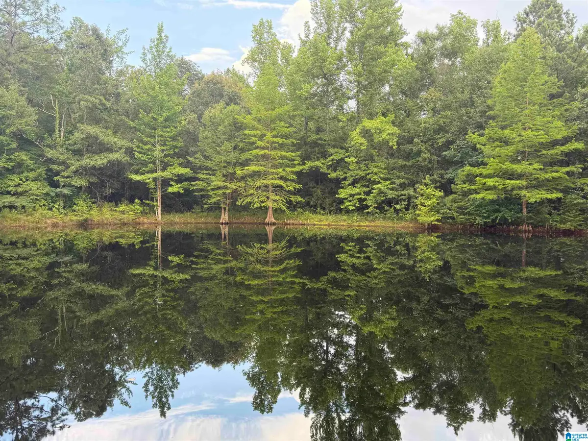 299 COUNTY ROAD 443, Verbena, AL 36091 - #1