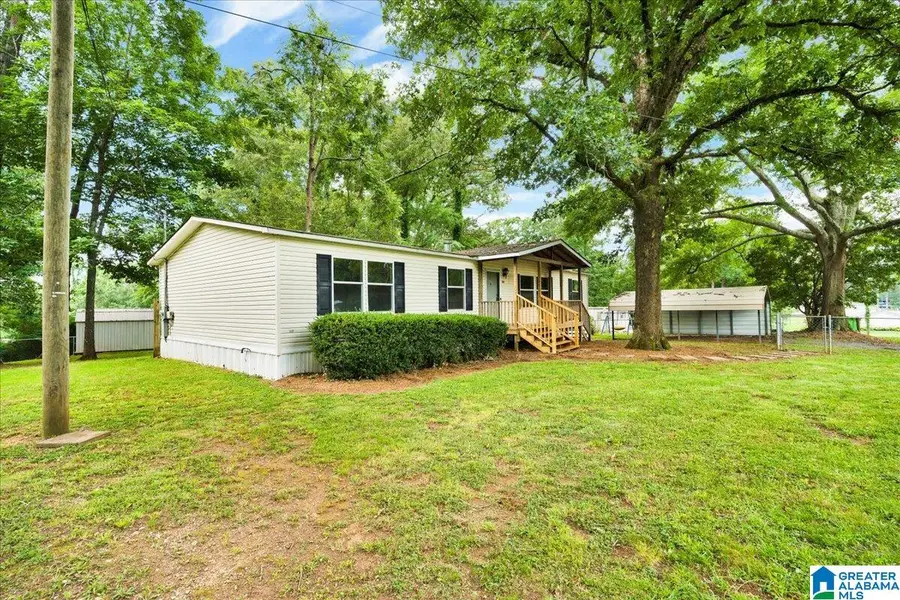 351 MCGINNIS STREET, Springville, AL 35146 - #3
